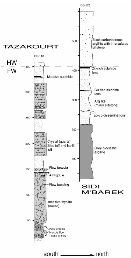 Fig. 5. Restored east–west stratigraphic sections of the Draa Sfar mine stratigraphy, as determined from detail  logging of boreholes DS110 and DS125