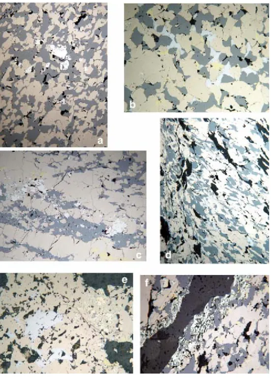 Fig. 7. Reflected, plane-polarized light photomicrographs of Tazakourt orebody. (a) Typical pyrrhotite (pale  brown)–sphalerite (gray) ore with disseminated, automorphic arsenopyrite crystals (white) (DS 125, 345 m)