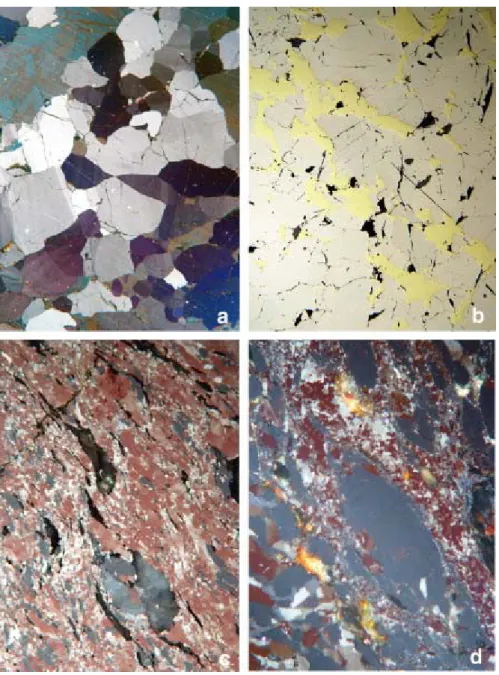 Fig. 9. Reflected light photomicrographs illustrating ore deformation features. (a) Contiguous equigranular  pyrrhotite (grey, purple and brown) and chalcopyrite (dark blue) with a polygonal texture and 120 °C angles