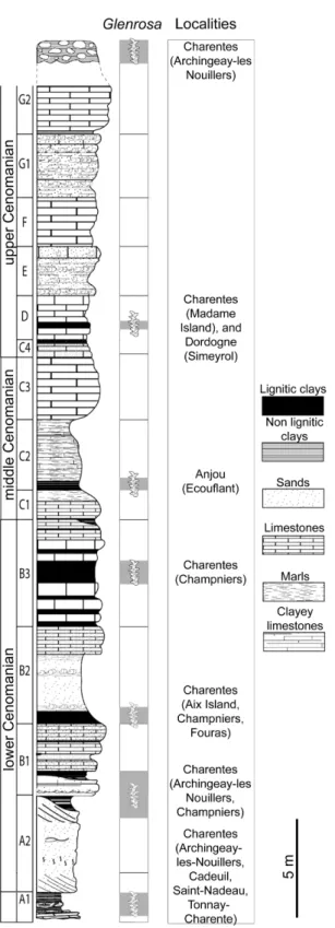 Fig 2. Stratigraphic section from the Albian – Cenomanian in western France with indication of the beds yielding Glenrosa J
