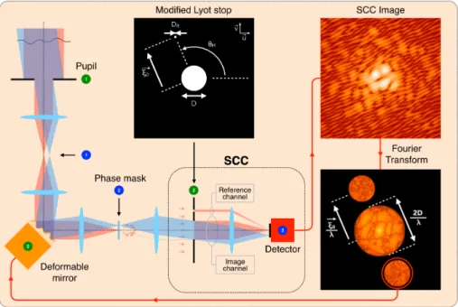 Fig. 1. Principle of the self-coherent camera (SCC). The stellar beam (red) hits a deformable mirror, and goes through a focal plane  coro-nagraphic mask and a Lyot stop