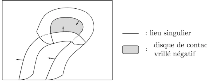 Fig. I.2.6 – Disque de contact vrill´e n´egatif