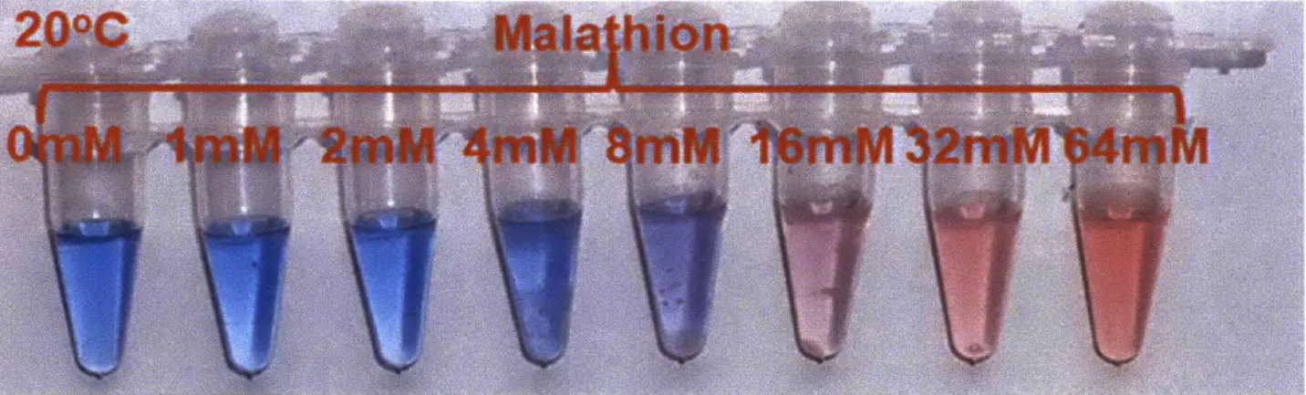 Figure 2.15  Colorimetric  response  of PDA-PAM to malathion in aqueous  suspensions