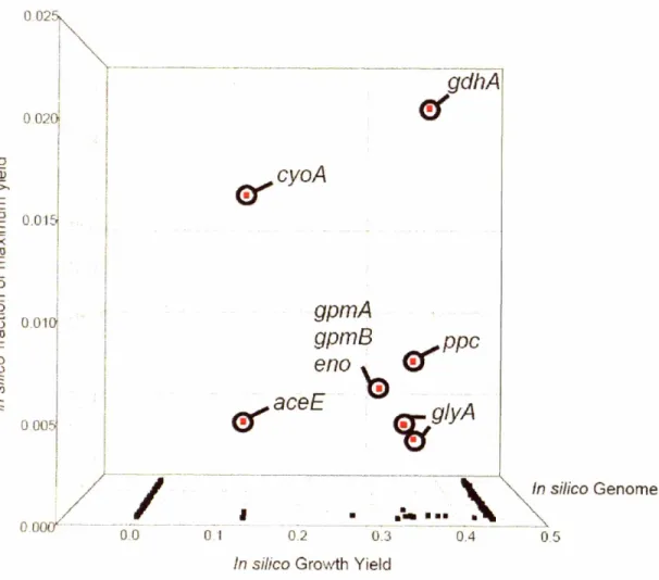 Figure 4.5: E. coli genome scan for single gene knockout targets. The phenotype of every possible single gene knockout was simulated using FBA with MOMA as an additional constraint