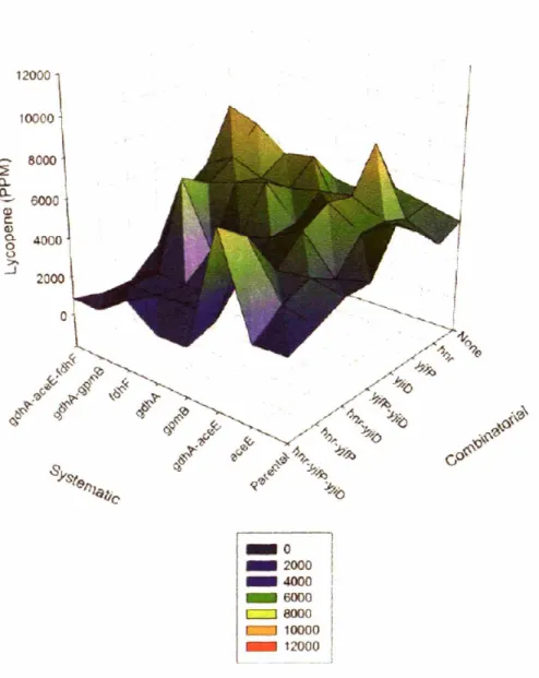 Figure 5.3: Visualization of the metabolic landscape at 15 hours. Lycopene values of the 64 mutant strains at the 15 hour timepoint are depicted in this metabolic landscape.