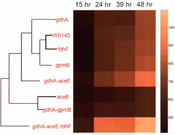 Figure 5.7: Clustering analysis of time course data for systematic targets.