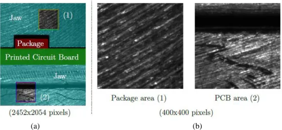 Figure 40: Images used for Digital Image Correlation: (a) image from the CCD camera and  (b) patterns tracked in the jaws of the package and PCB sides 