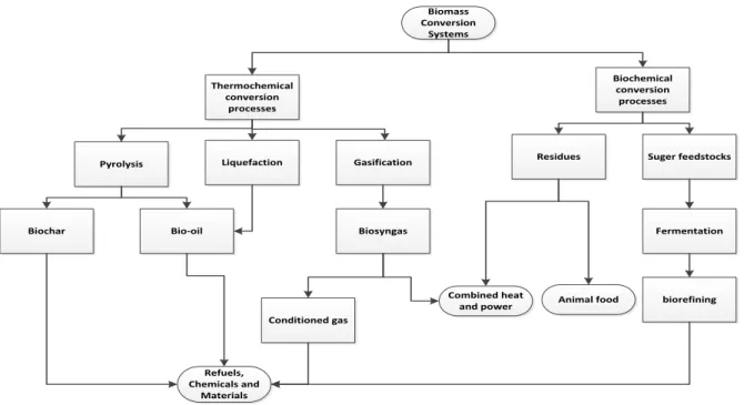 Figure 1.4: Bio-renery concept.