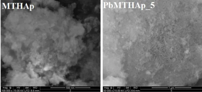 Figure 1: SEM micrographs of hydroxyapatite coated with methyltrimethoxysilane (MTHAp) before and after the reaction with a  solution containing 950 mg of Pb/L at pH 5 (PbMTHAp_5)