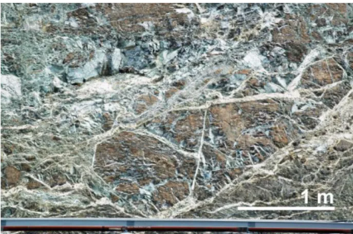 Figure  1.  Field  evidence  of  intense  fracturing  within  the  serpentine  sole of  Koniambo,  NC,  where  magnesite  is  formed  from meteoric fluids within fractures