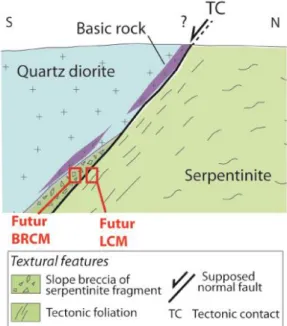 Figure  3.  a.  Fragments  of  a  previously  serpentinite  in  the 