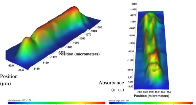 Figure 2: IR map of the sampled inclusion. The colour relates to the absorbance scale, taken (left)  at the main peak of the OH-stretching band: 3400 cm -1  [7]; (right) at the dangling-OH band: 3680 