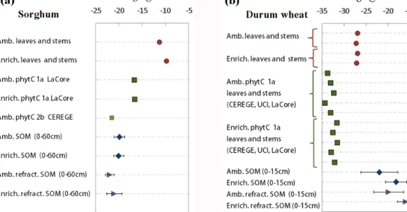 Figure 3. Above-ground C manipulation experiment. δ 13 C values of stems and leaves, phytC, and soil SOM fractions obtained for (a) sorghum and (b) durum wheat experiments