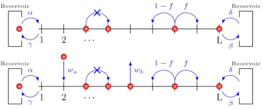 Figure 2.2  Représentation des modèles CASEP en haut et LK-ASEP en bas.