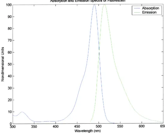 Figure 2.12  Absorption and  Emission Spectra of Fluorescein