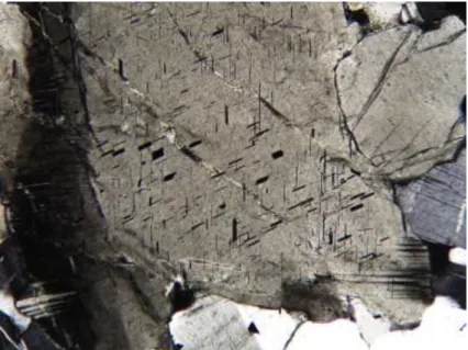 Fig. 7. Example of rutile inclusions in charnockite plagioclase (on cleavage planes). The thin section length  measures about 3.2 mm