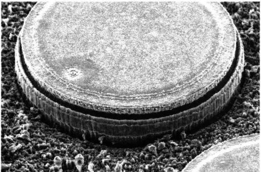 Figure 3-3:  Scanning Electron  Microscope  Image  of ECR-RIE  etched  InP  pillars The  sidewall  roughness  is  also a  common problem  for the deep  dry etching  of InP based materials