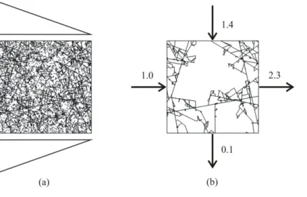 Figure 1 – Fracture network at the block scale (a) and corresponding flows (b) for the gradient head 704 