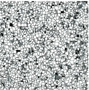 Figure  5.  Building  of  Voronoi  cells:  a)  germs  generated  within the 3D image; b) cells expanded; c) cells touching other  cells and forming fragments.