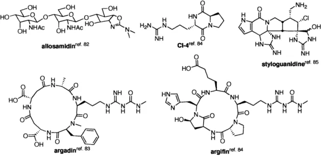 Figure  1-8.  Natural product chitinase inhibitors.