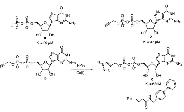 Figure  1-14. the inhibition study of a-1,3-Fuc-T  VI  with GDP  analogues.