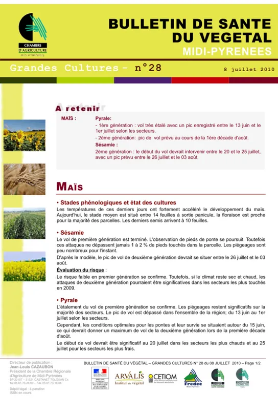 Figure 6 – Exemple d’un BSV sur le maïs en Midi-Pyrénées