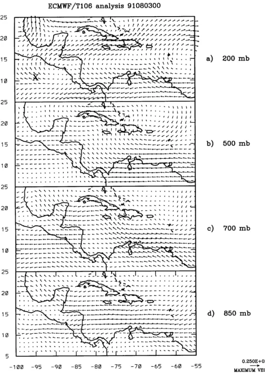 Figure 3.3: ECMWF  wind analysis at 00 UTC on  3 August,  1991.  Location  of the vortex is shown in  the  200 hPa  analysis at  04 UTC on 3 August (cross).