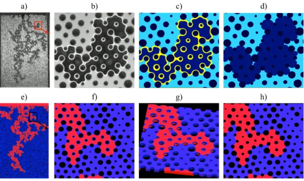 Figure 6. Example of the steps performed to calculate the interfacial length, including the wetting ﬁlm into the air phase, for the experiment (ﬁrst row) and the corresponding 3-D simu- simu-lation (second row)