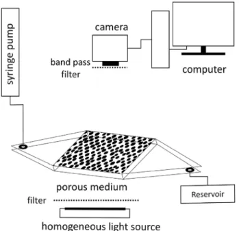 Figure 1. Scheme of the experimental setup. To perform drainage tests, the porous medium is initially saturated by the wetting phase (dyed water), and the wetting phase is subsequently pumped out from the outlet end of the cell,  allow-ing the nonwettallow