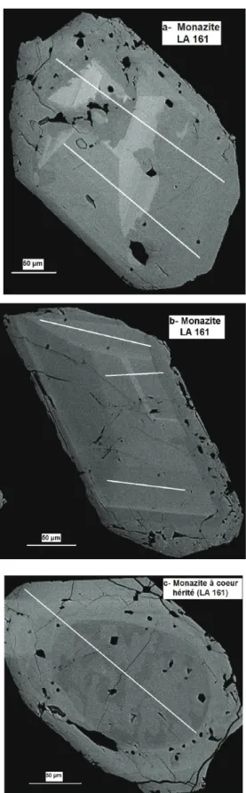 Fig. 12 - Trois grains de monazite représentatifs extraits du granite de Kersaint (LA 161), image au microscope électronique à balayage en électrons rétrodiffusés