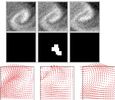 Fig. 1 – Haut : trois images centr´ees sur un tourbillon.