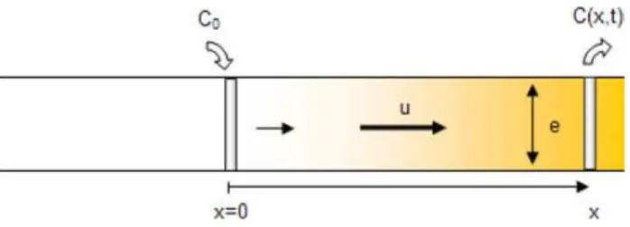 Figure 5. Injection of a constant concentration in a semi-infinite medium.
