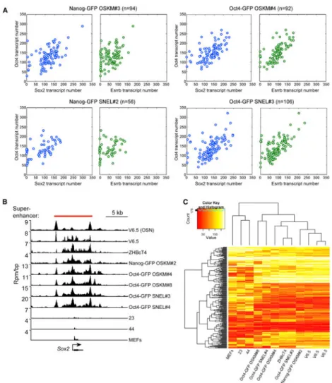 Figure 4. The Transcript Number of Key Master Regulators and the Establishment of ESC- ESC-Specific Superenhancers Are Comparable between Poor- and High-Quality iPSCs