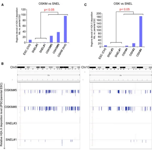 Figure 6. H2A.X Deposition Pattern Can Distinguish SNEL and OSK or OSKM iPSC Lines (A) The bar chart illustrates that the genome coverage of defective H2A.X deposition regions in OSKM-iPSC lines (n = 3) are significantly higher than those in 4N+ SNEL-iPSC 