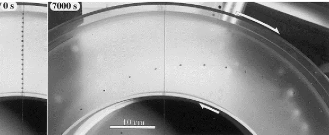 Fig. 2. Evolution of the shear gradient in the ring-shear machine as marked by small spherical grains of paraffin,  placed on the surface of the PDMS along a line initially perpendicular to the shear direction (0 s), and after 7000  s