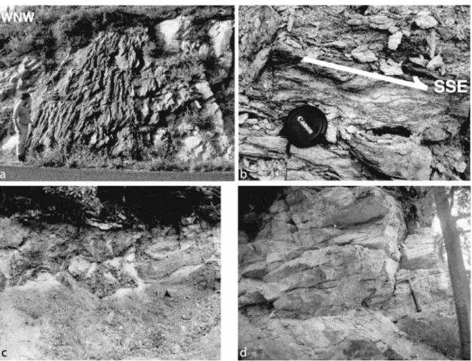 Fig. 2. Field photographs of Millevaches two-mica leucogranites and wall rocks. (a) Granites high dip foliation  in the Pradines fault
