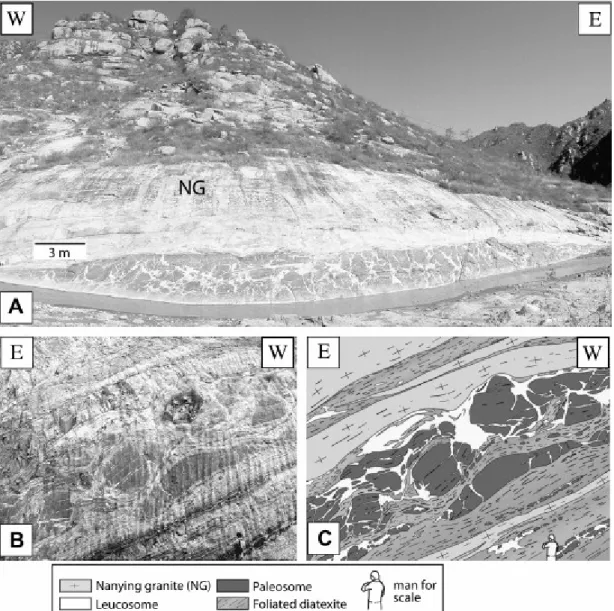 Fig. 2. Photographs of Fuping metatexites and diatexites. (A) Metatexite with a small  proportion of leucosome formed in the beginning of the melting reaction 