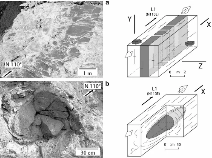 Fig. 10. Field evidence and schematic diagram of the two dominant deformations observed in  the migmatite of the Dome-and-Basin Domain