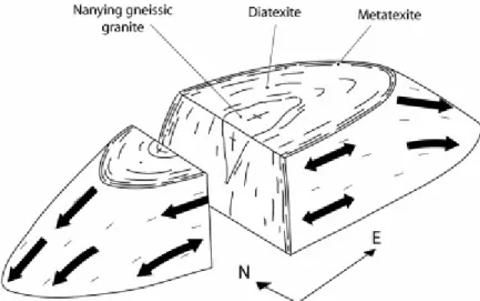 Fig. 11. Interpretative sketch of a single migmatitic dome of the Dome-and-Basin Domain  showing top-moving downward kinematics at dome terminations and coaxial flow along  dome flanks