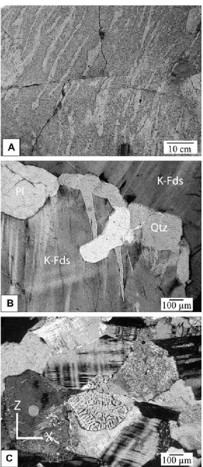 Fig. 12. (A) Magmatic foliation defined by pockets of quartz–feldspar composition formed by  segregation during the late stage of crystallization, the orientation of the pockets is parallel to  the regional S1 foliation (N38°20.376′/E113°36.953′)