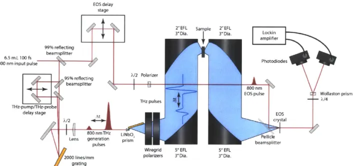 Figure  3.5.  THz  spectrometer  in  THz-pump/THz-probe  geometry.  1%  of  the  incoming  800  nm  beam  is reserved  for  EOS,  while  the  remaining  99%  is  split  in  a  95%/5%  ratio  to  produce  a  pair  of time-delayed optical  pulses
