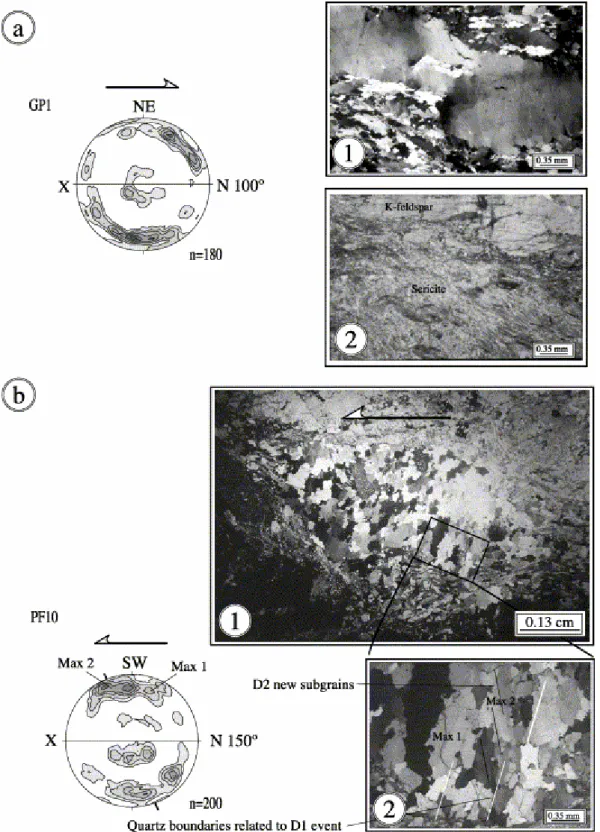 Fig. 10. Quartz  c  axis fabrics related to the D2 event. (a1) Notice the porphyroclast with undulose extinction  surrounded by new fine grain polycrystalline aggregate, typical of dynamically recrystallized quartz by subgrain  rotation