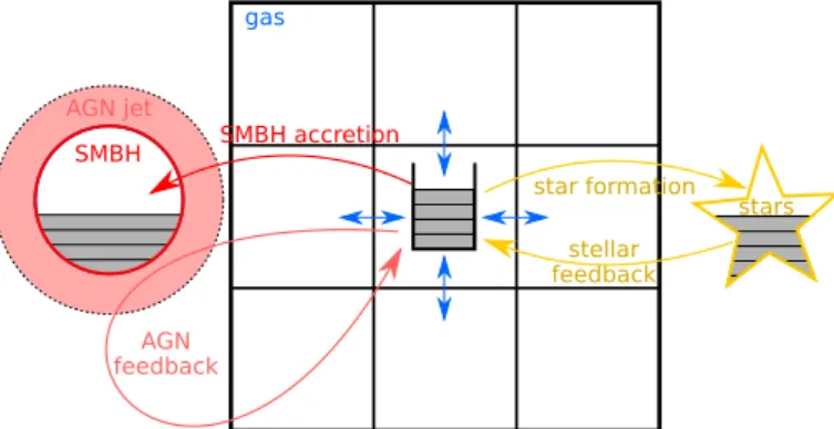 Fig. 1. Scheme of the different “buckets” that can hold tracer parti- parti-cles and the process that moves them around