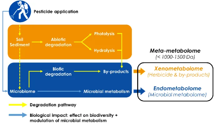 Figure Int. 5: The Environmental Metabolic Footprinting concept. 