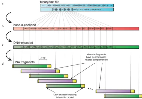 Figure 2.14: Goldman et. al. encoding [1]