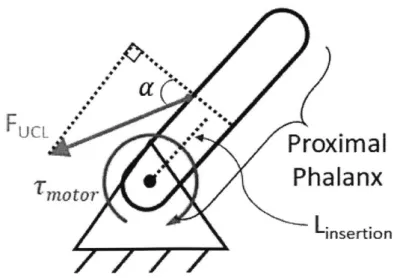 Figure  2-2:  Diagram  of the  forces  acting  on  the  thumb  UCL