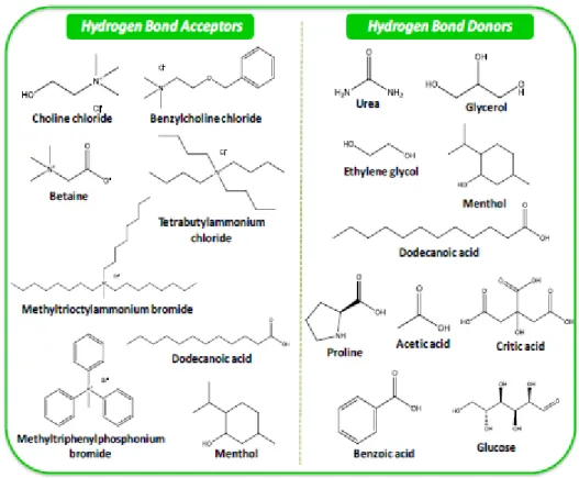Figure 1-6 : Structures chimiques d’accepteurs de liaisons hydrogène (à gauche) et de donneurs de liaisons  hydrogène (à droite) couramment utilisés dans la préparation des DES