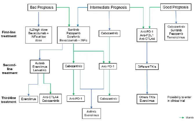 Figure  6.  ccRCC  treatments  choice.  Summary  of  how  treatments  are  chosen  according  to  patient’s prognosis