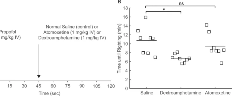 Fig 2A shows the protocol for this experiment. Forty-five seconds after a single dose of propo- propo-fol (8 mg/kg IV), normal saline (vehicle), dextroamphetamine (1 mg/kg IV) or atomoxetine