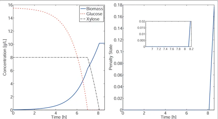 Figure 1 Concentration profiles (left) and DFBAlab penalty function (right) of Example 1